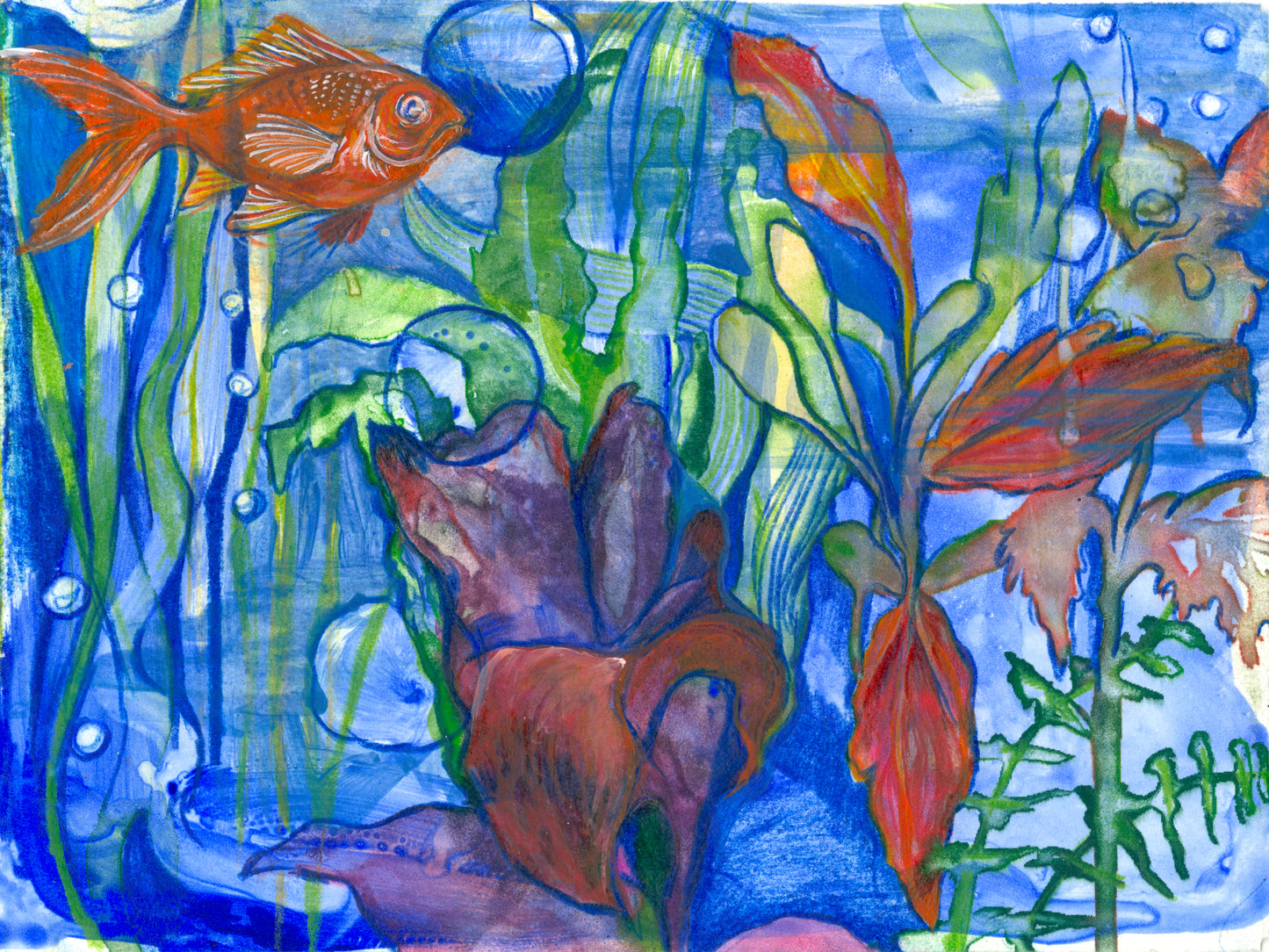 Aquarium of Contentment