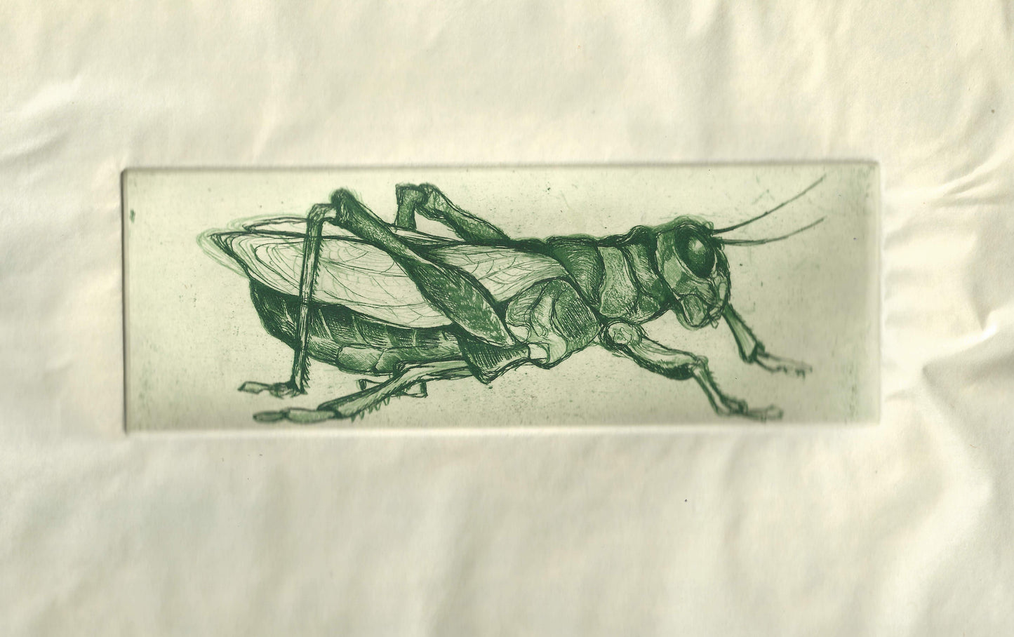 Good Luck Grasshopper