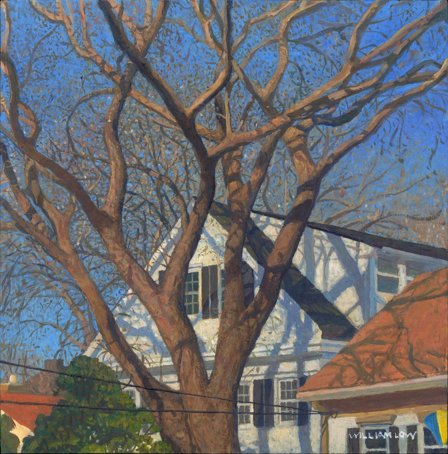 Cape Spring