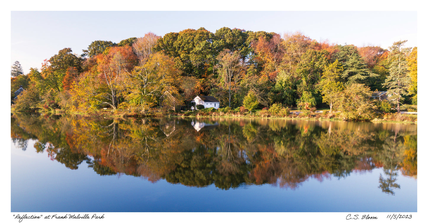 Reflection - Setauket Mill Pond