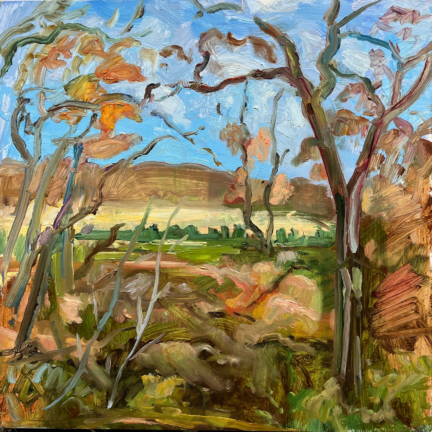 Covid Driveway - Field Early Spring