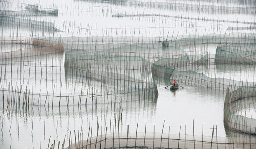 Crab Farmer II