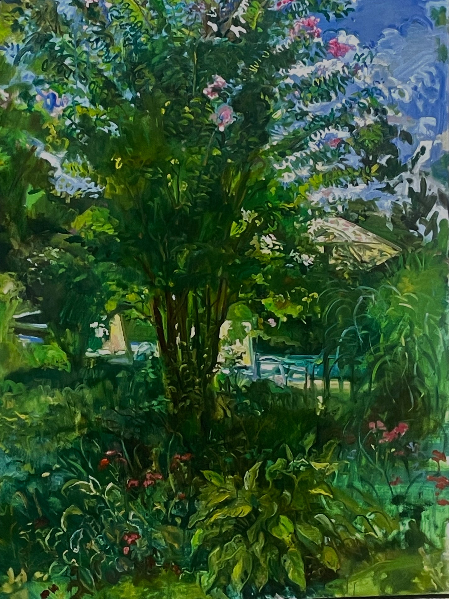 Crape Myrtle