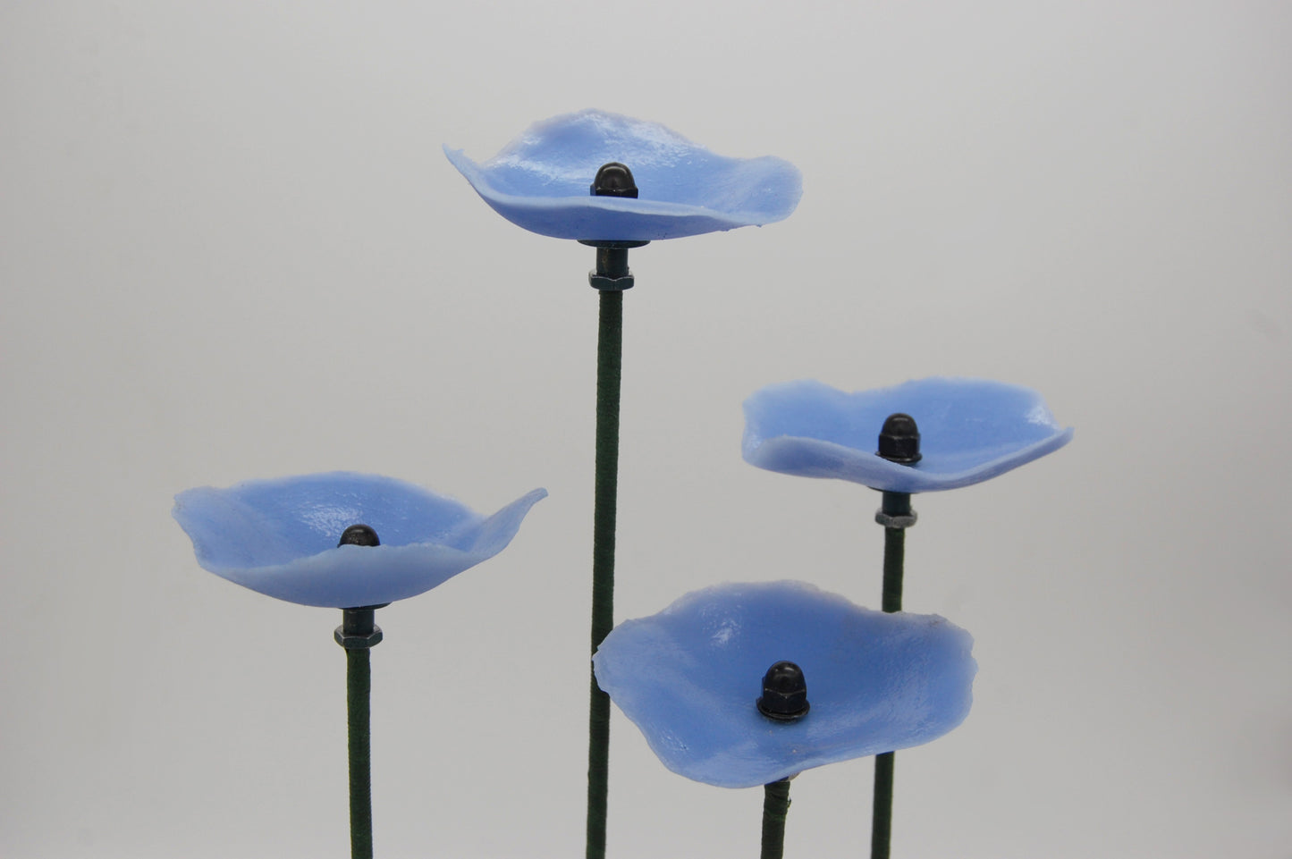 Blue Poppies