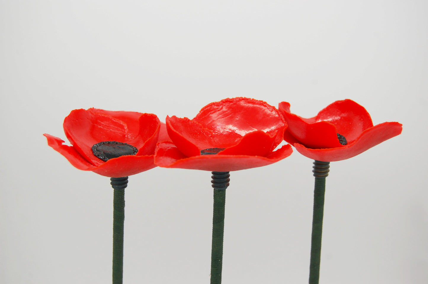 Red Poppies