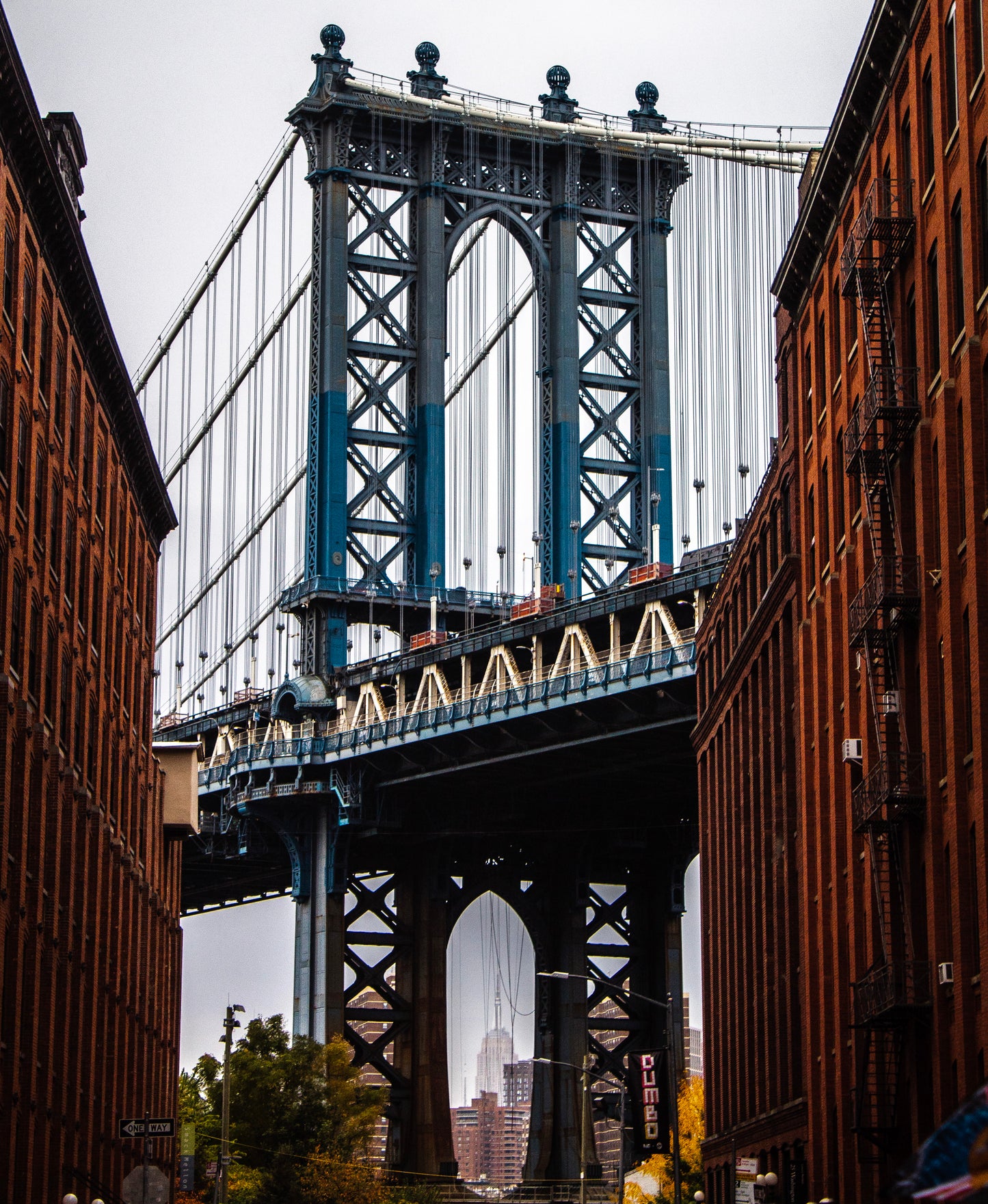 Dumbo