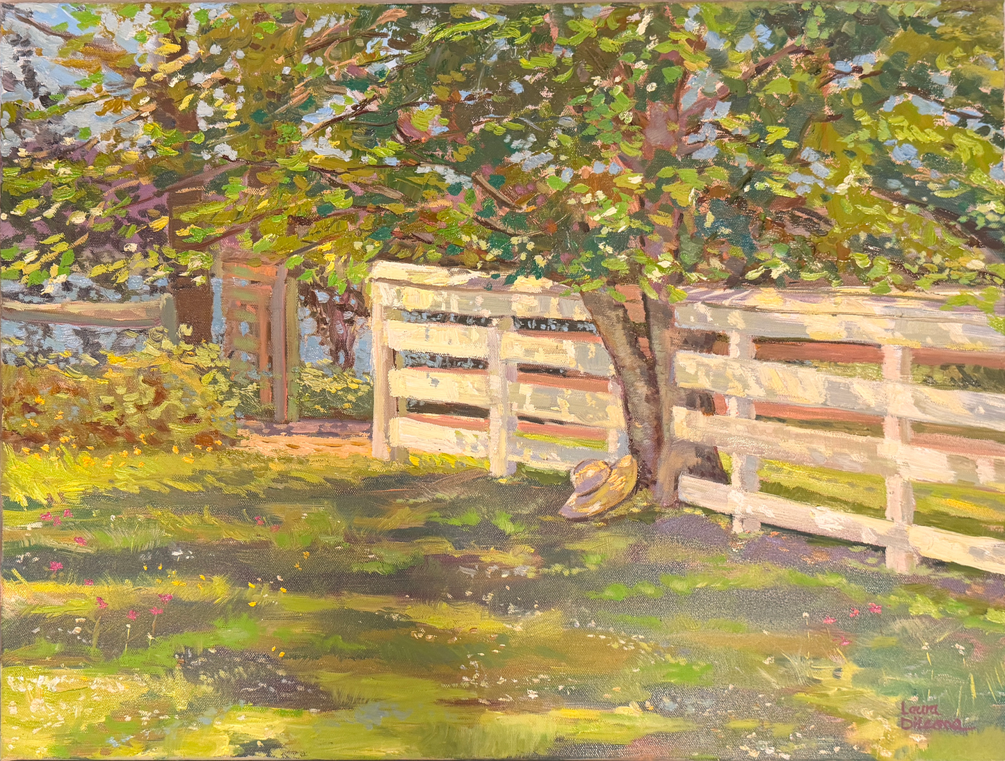 In the Shade