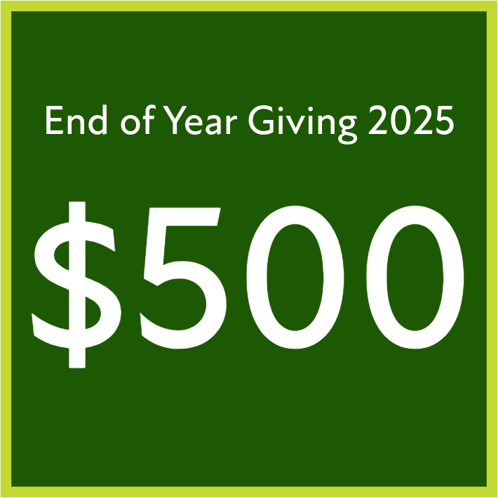 End of Year Giving 2025 - $500