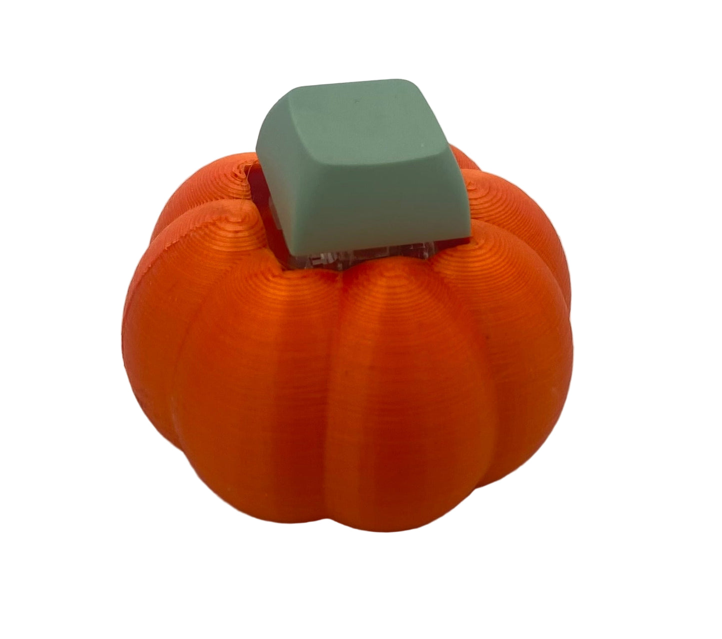 Pumpkin Fidget