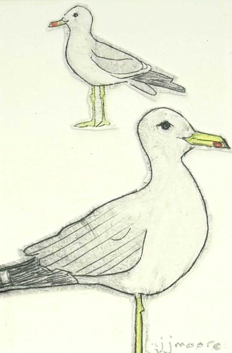 Seagulls 2