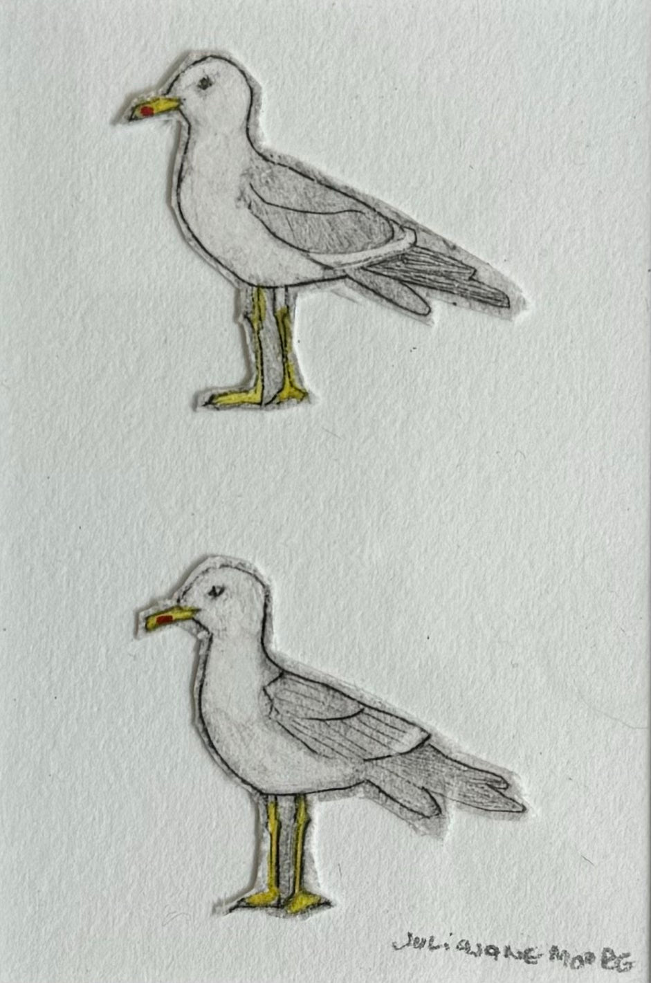 Seagulls 1