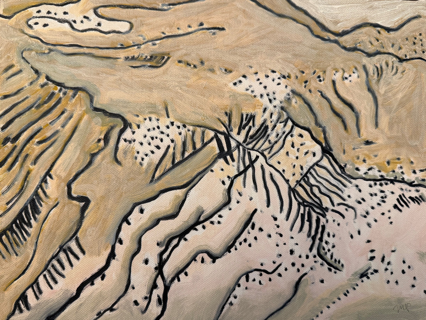 Strange Topography