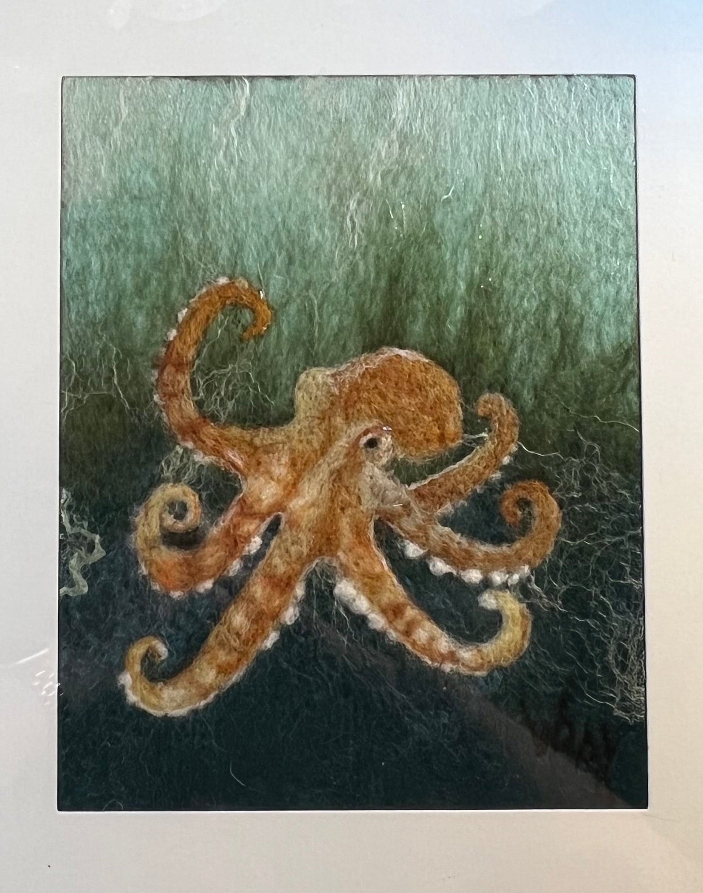 Octopus