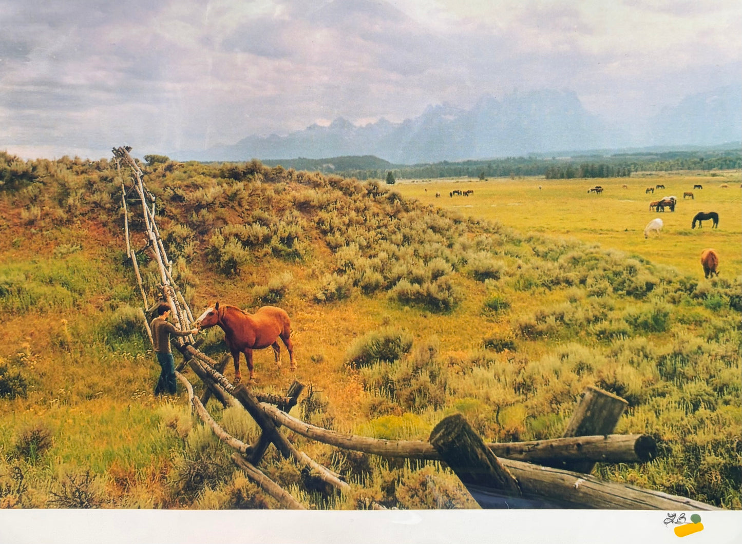 Yellowstone