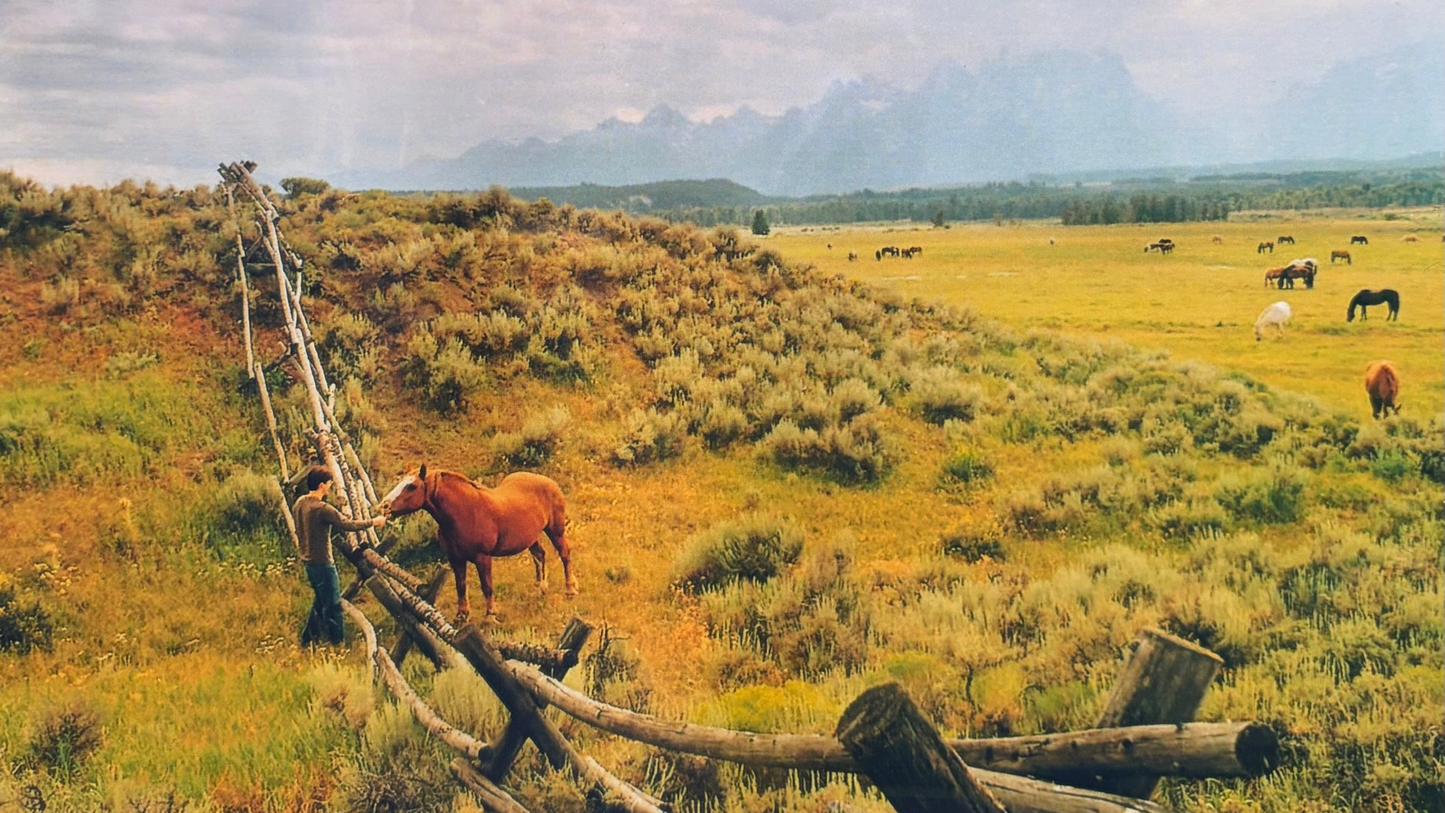 Yellowstone