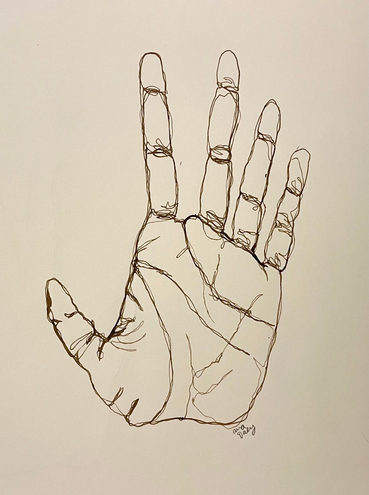 Palm Reader