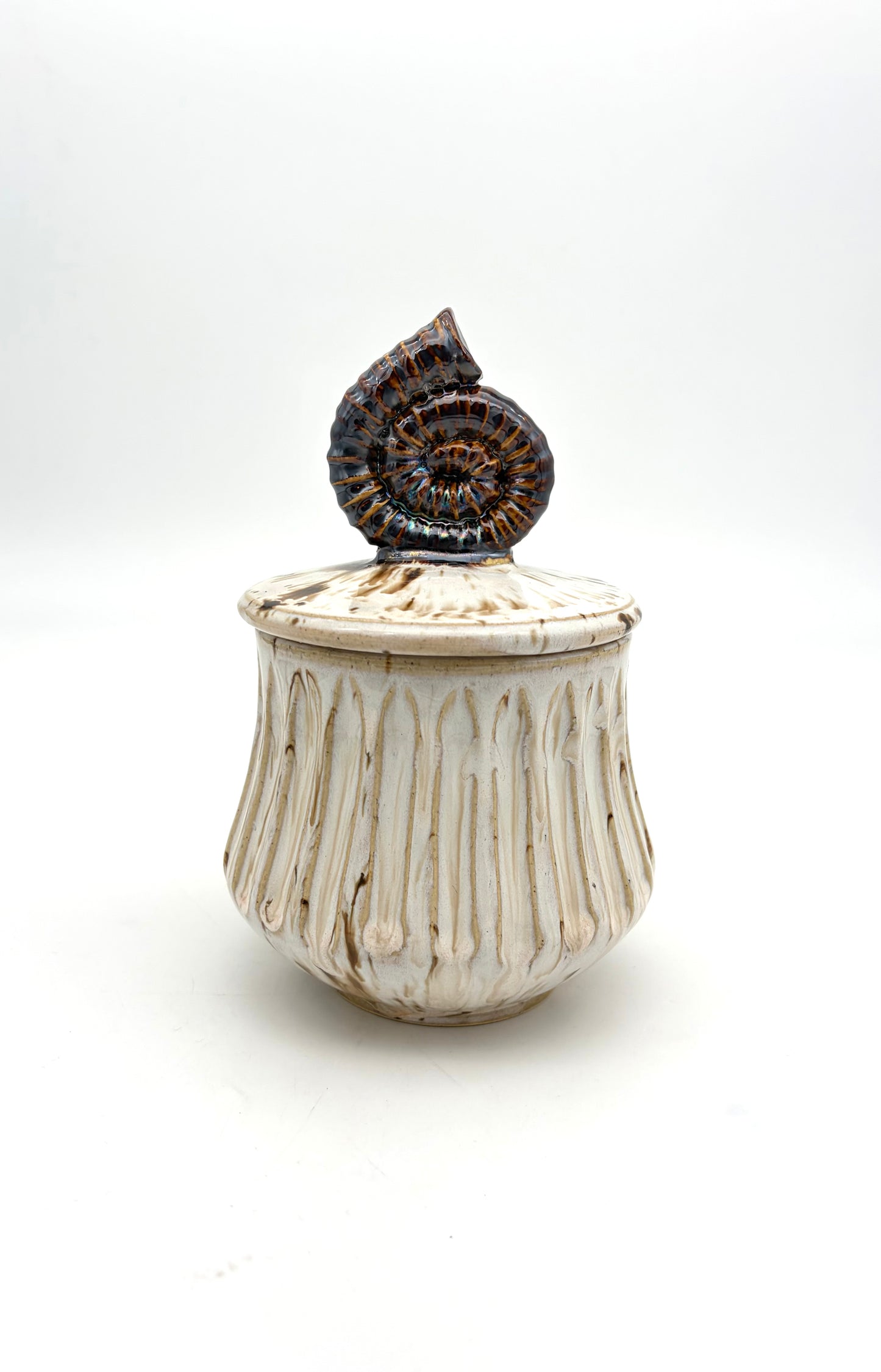 Ammonite Covered Jar