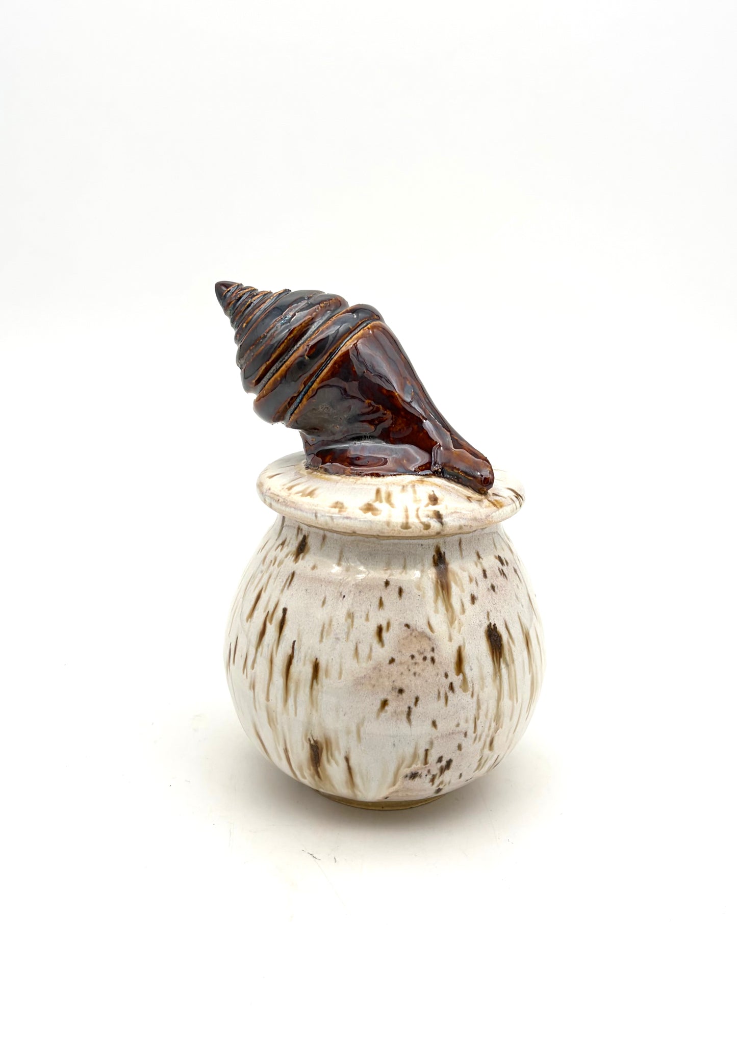 Seashell Covered Jars