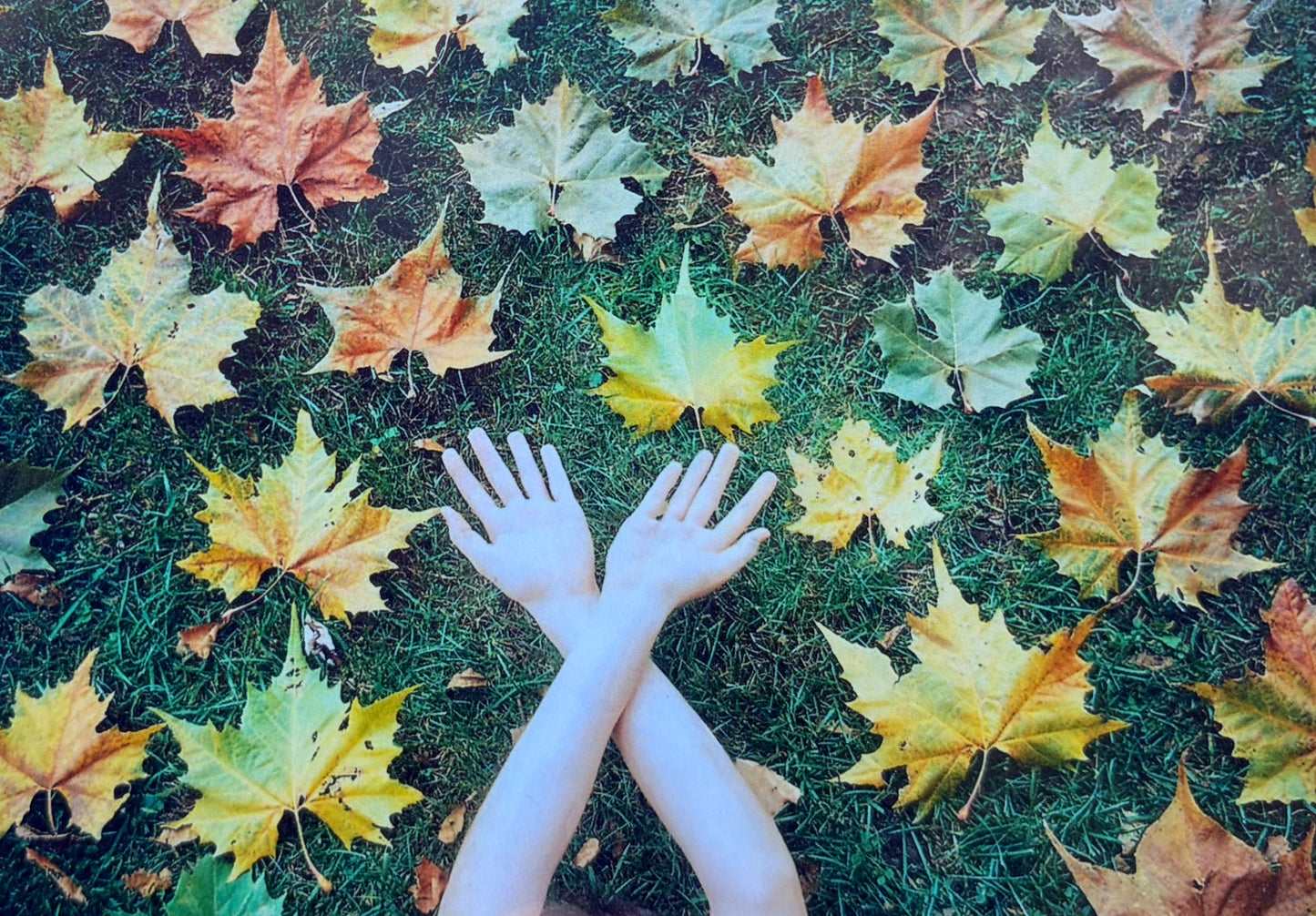 Leaves with Hands