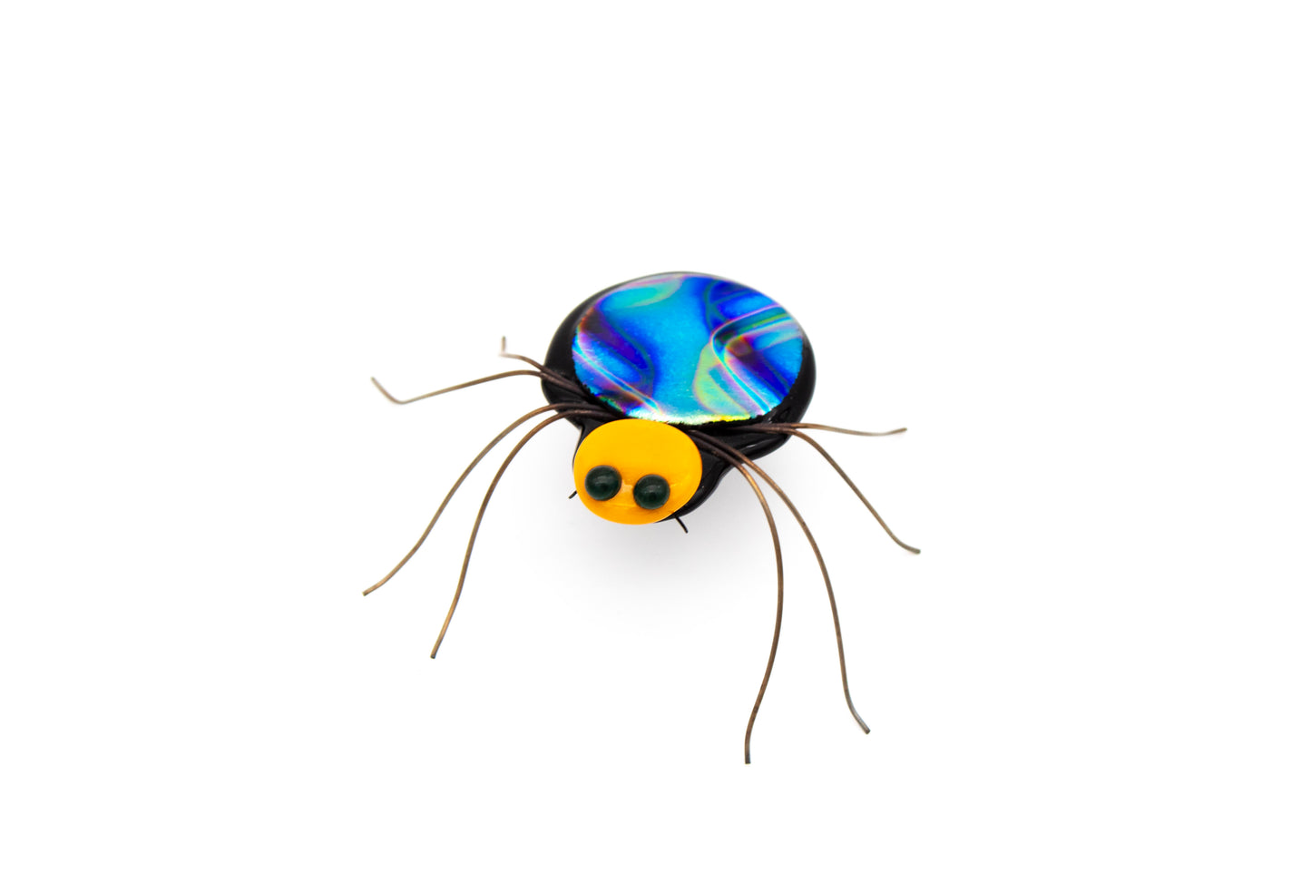Multicolored Spider