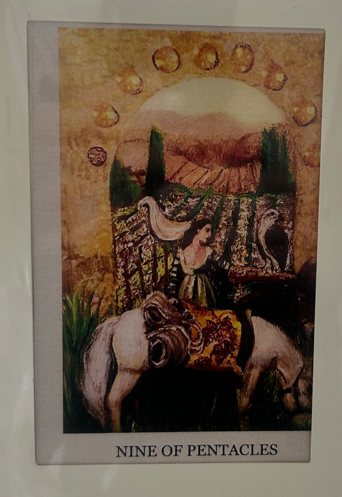 Cards - The Tarot Collection