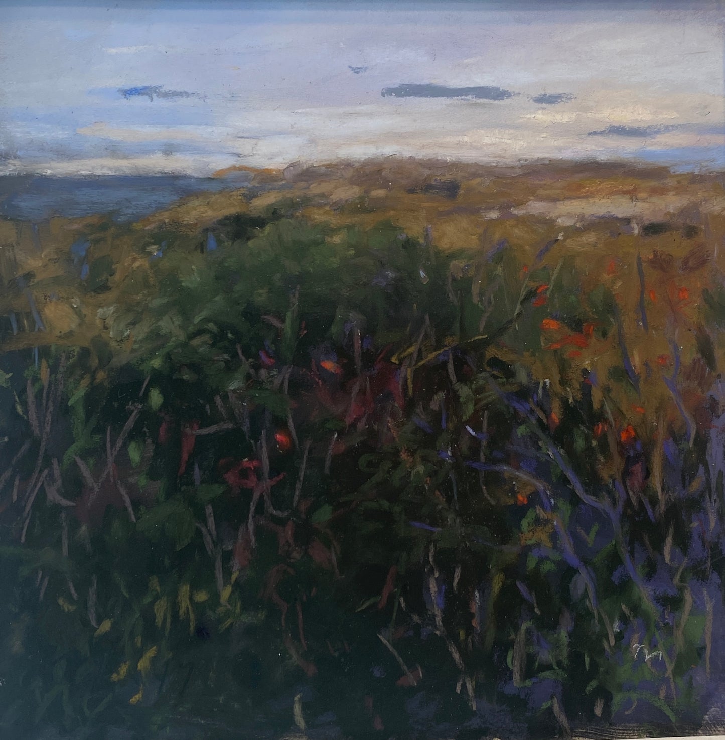 Berry Bush