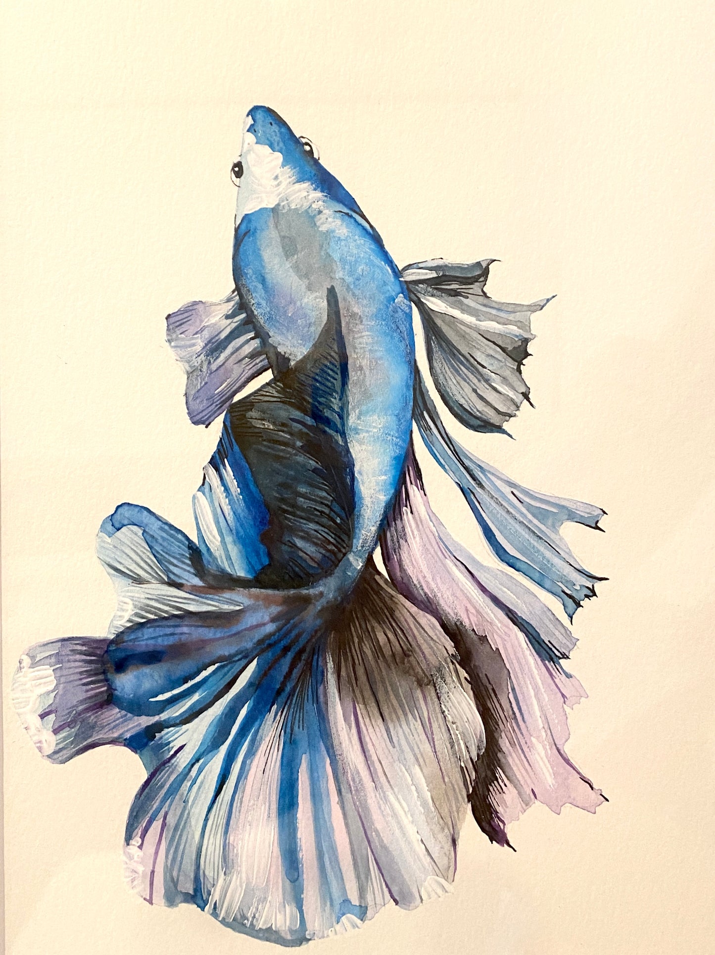 The Blue Beta Fish