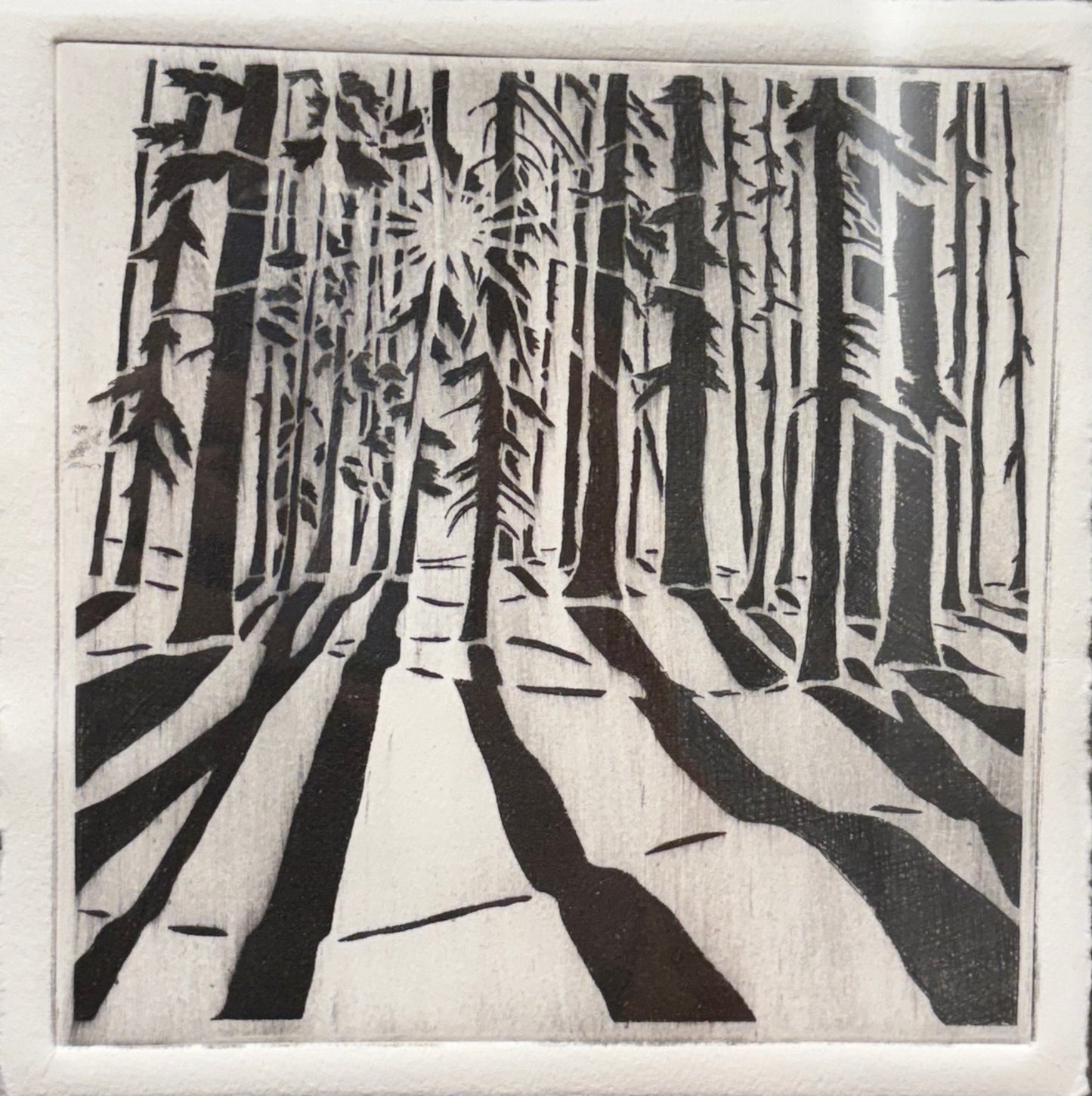 Trees in the Shadows