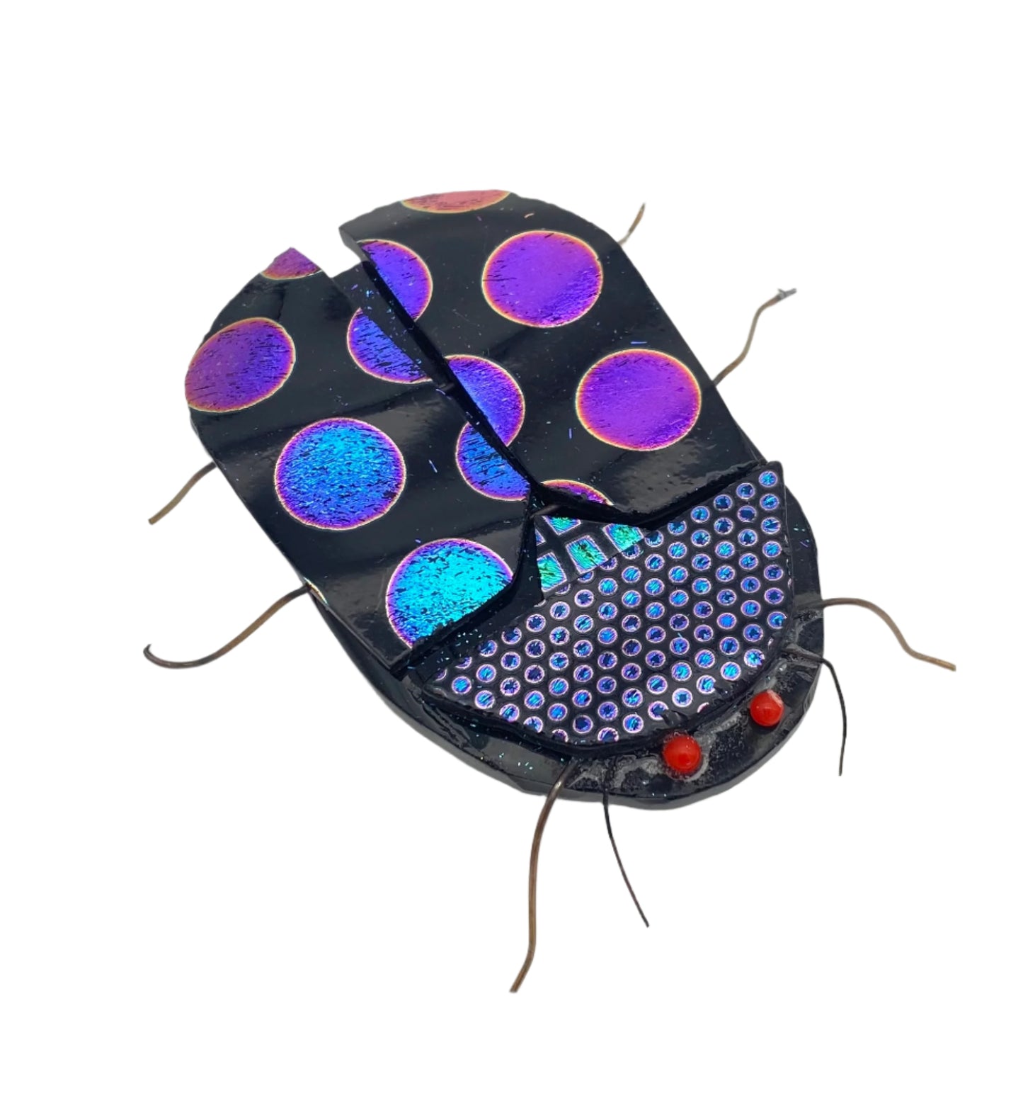 Big & Small Dot Beetle