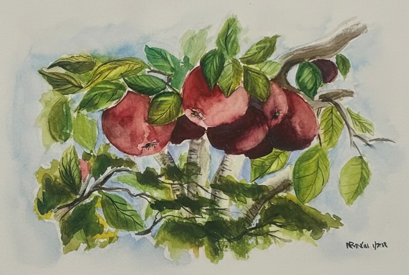 Apples (2018)