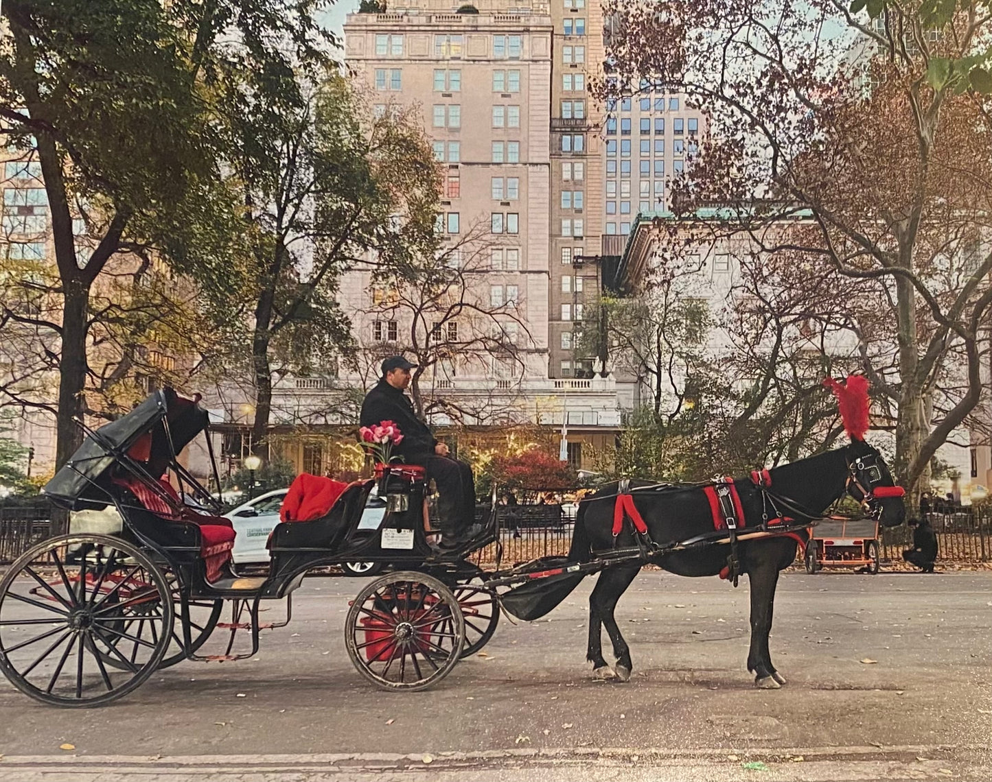 Central Park Carriage