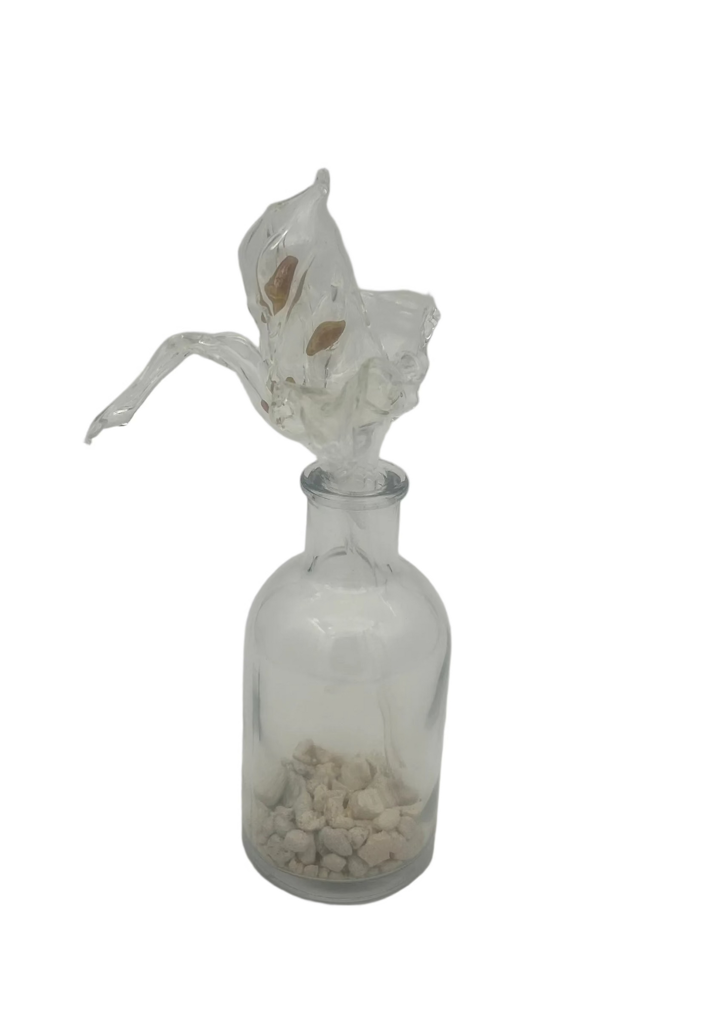 Clear Flower in Vase