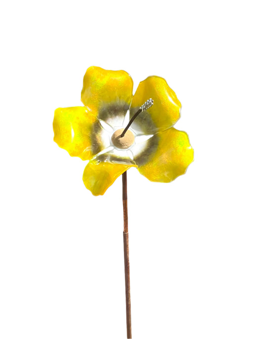 Yellow Garden Flower