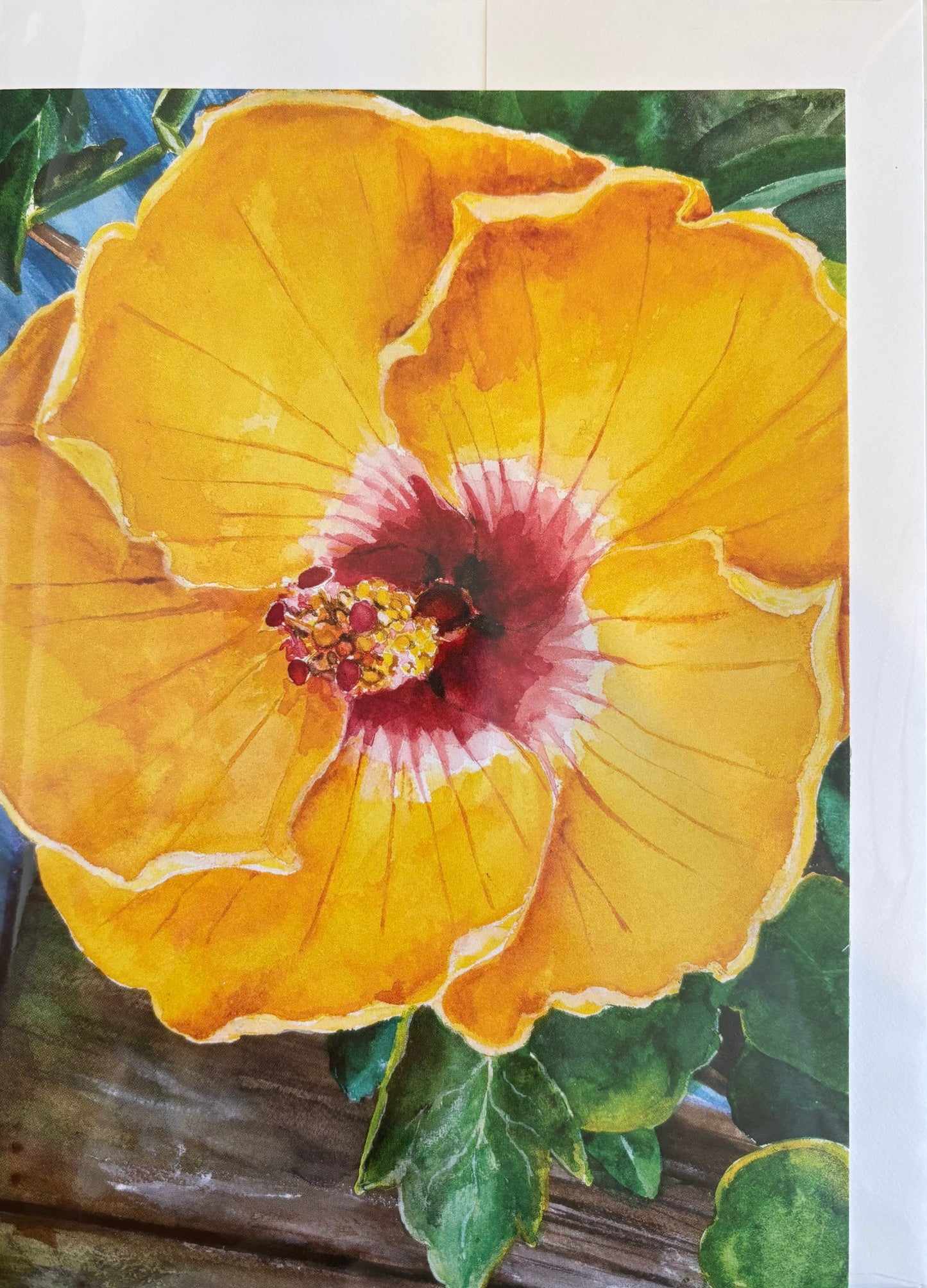 Yellow Hibiscus - Art Cards