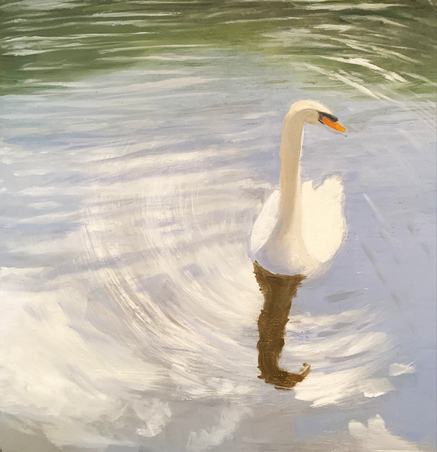 Swan