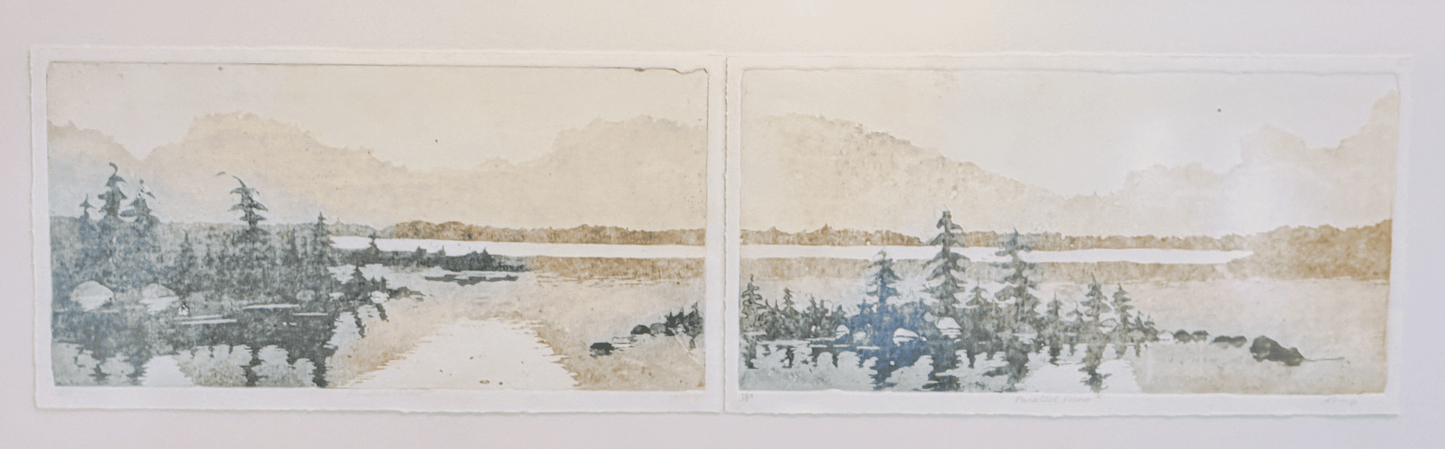 Parallel View