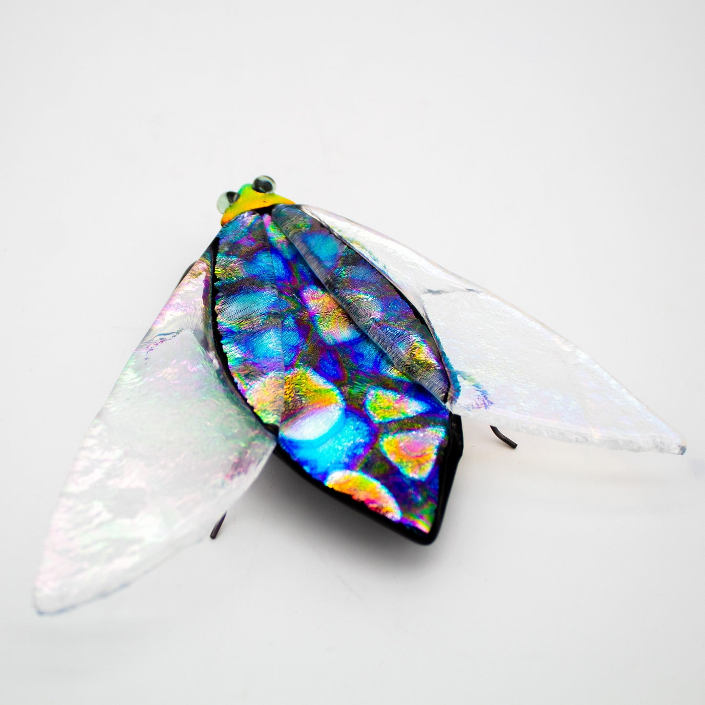 Cicada