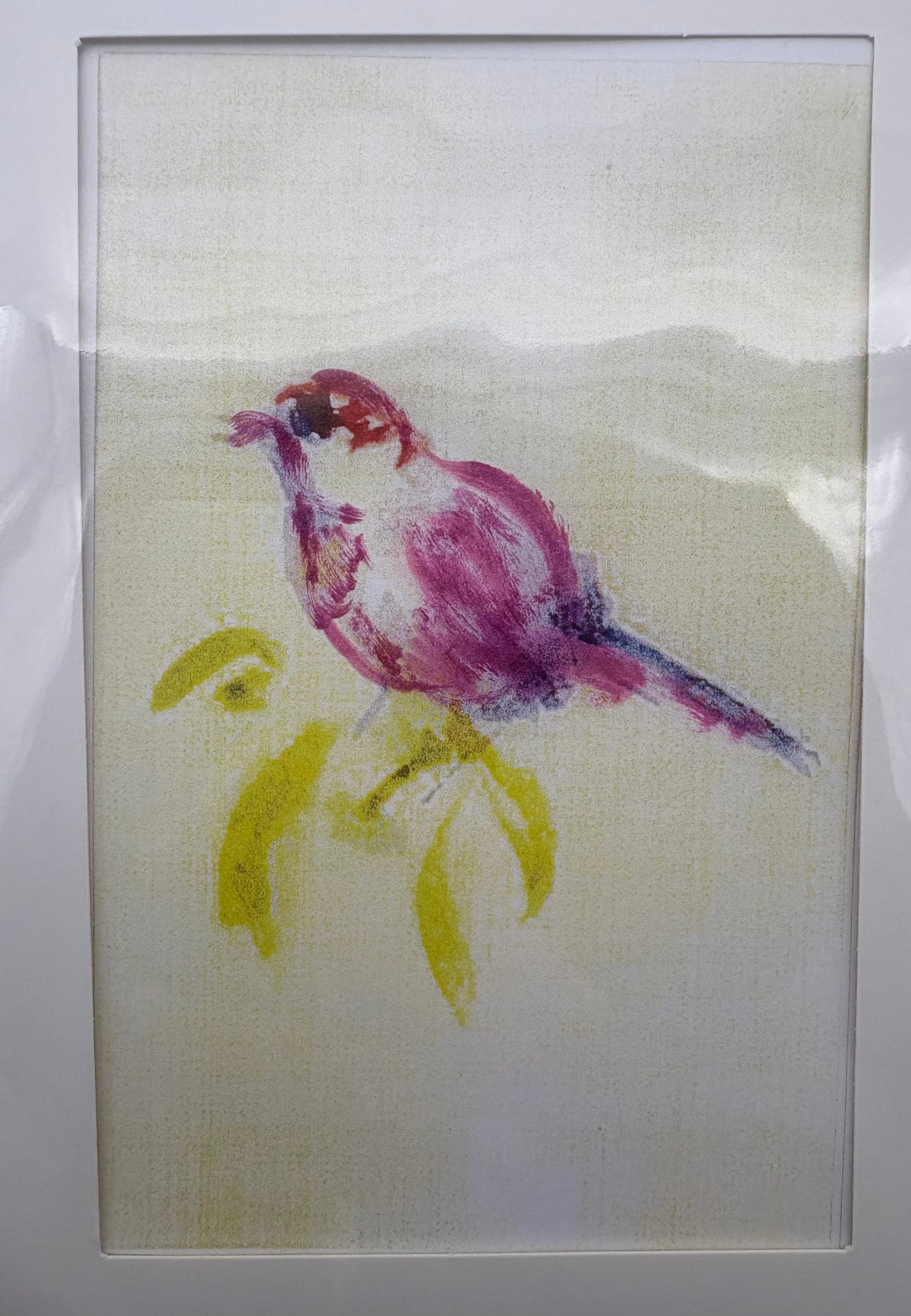 Cards - The Bird Collection