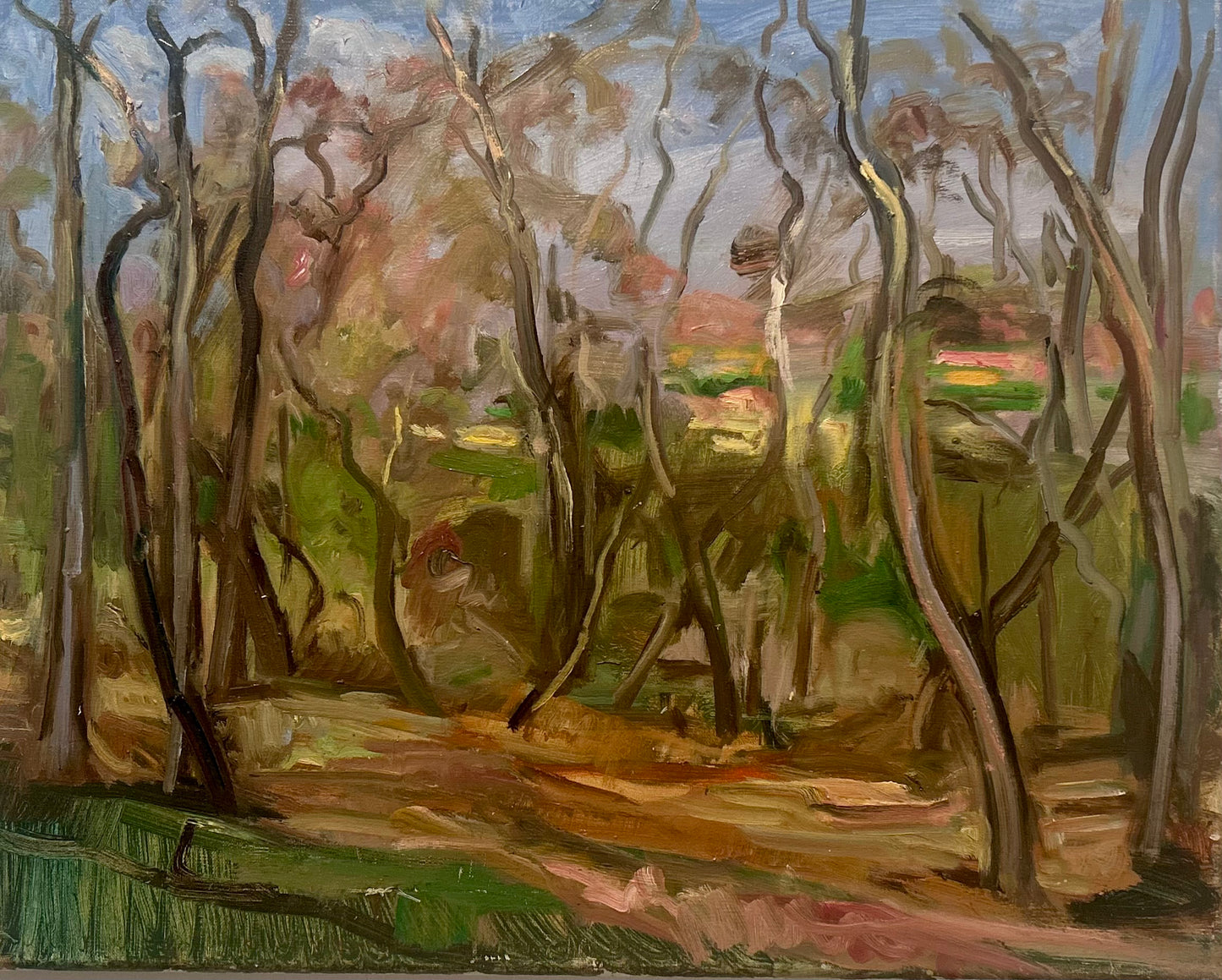 Early Spring View Nw