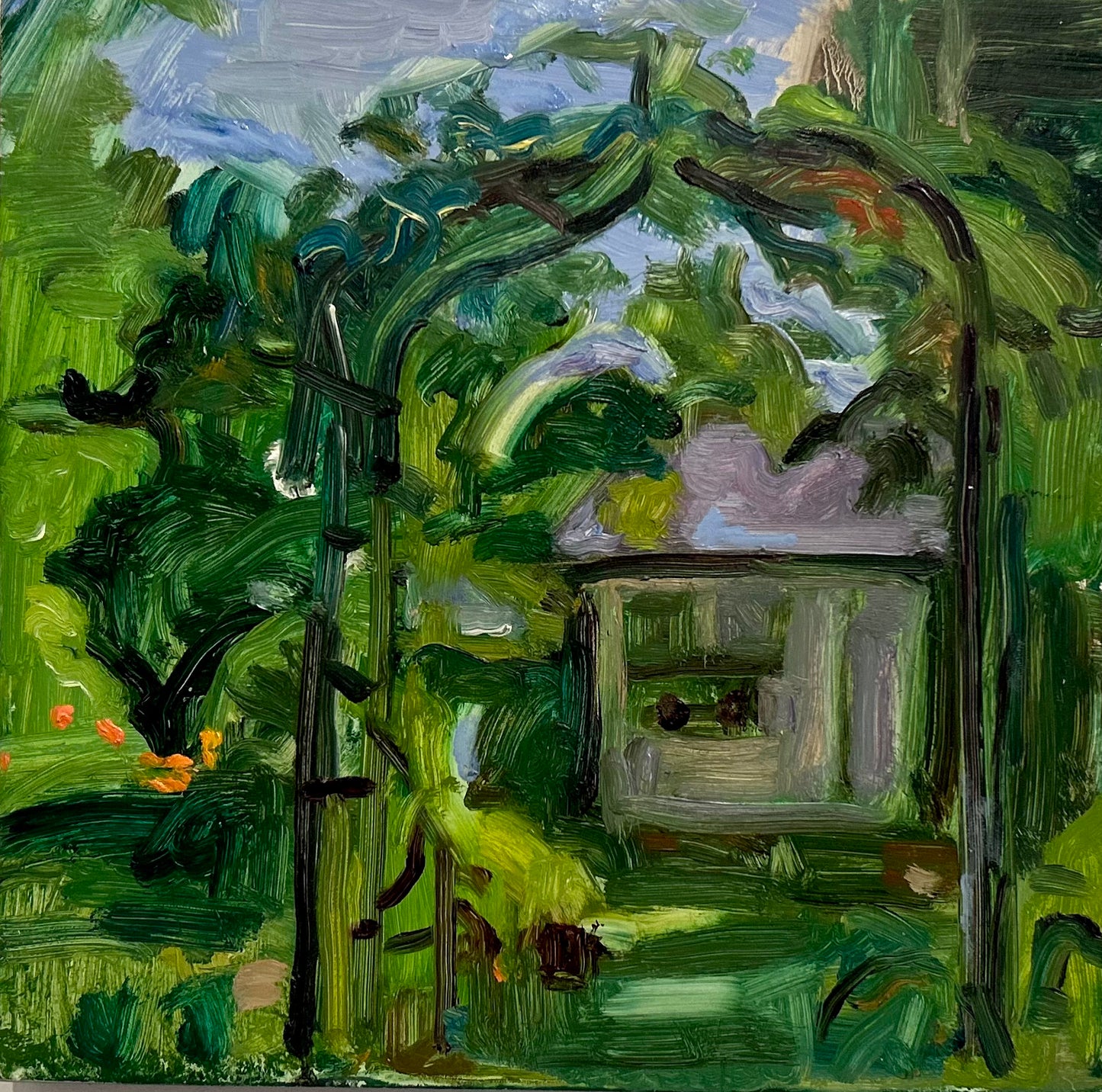 Kiwi Arbor