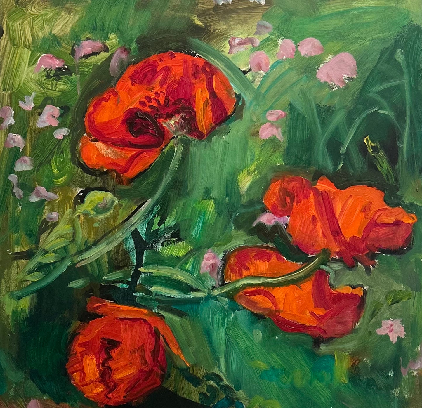 Poppies