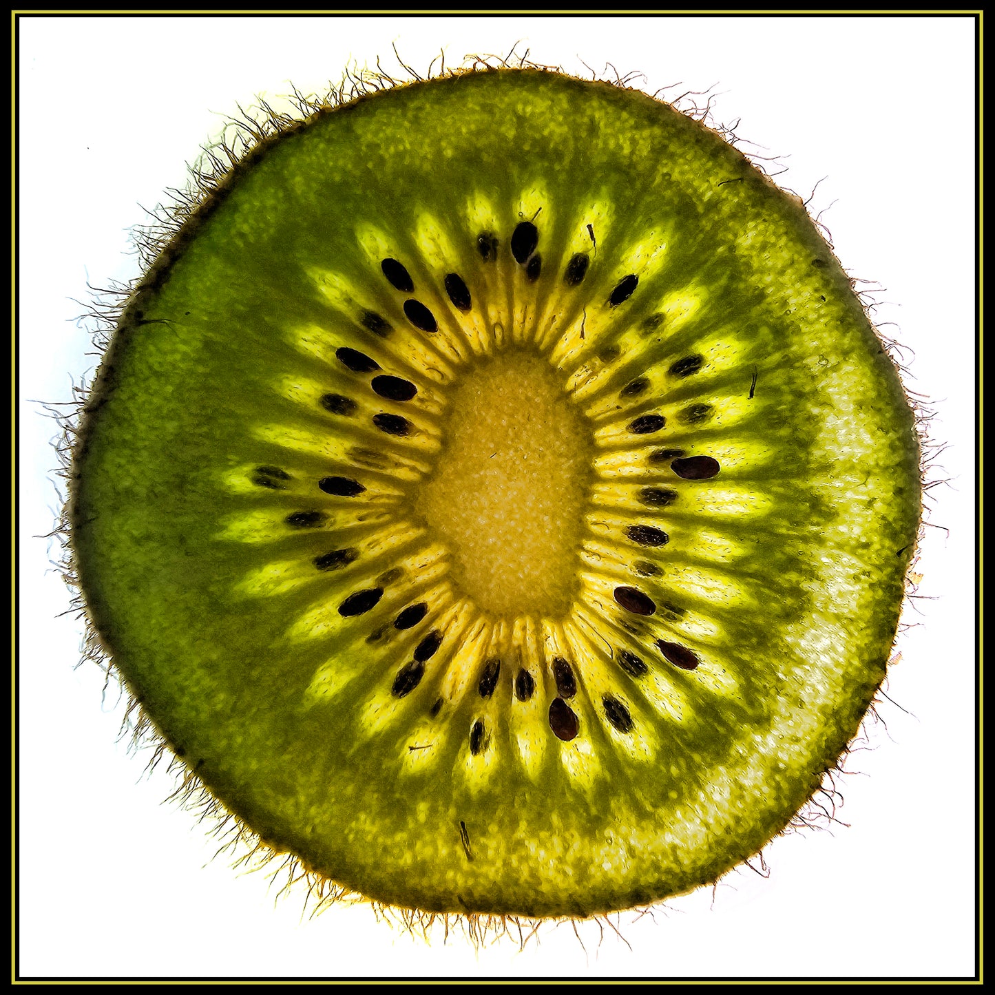 Kiwi