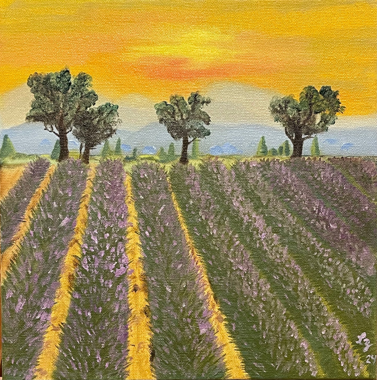 Sunset on the Lavender Field