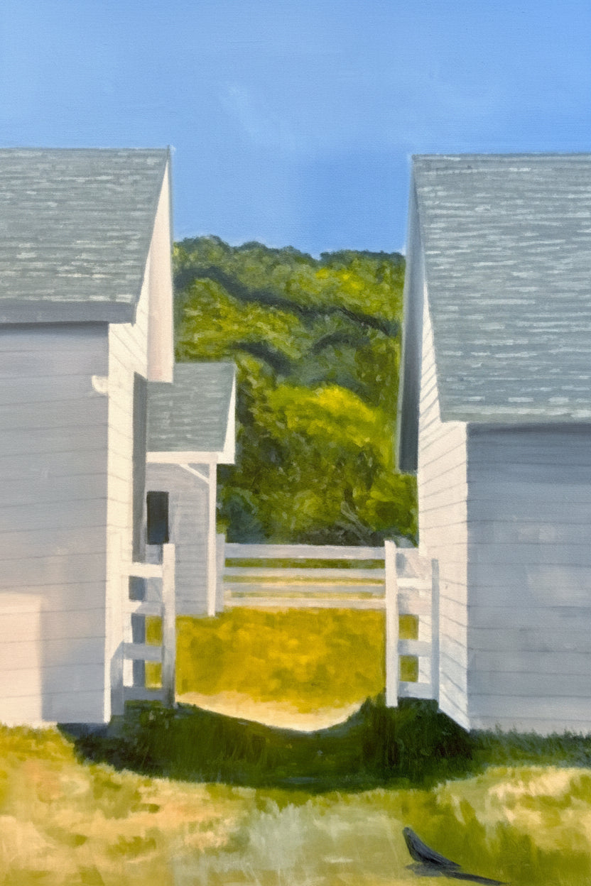 Through the Barns