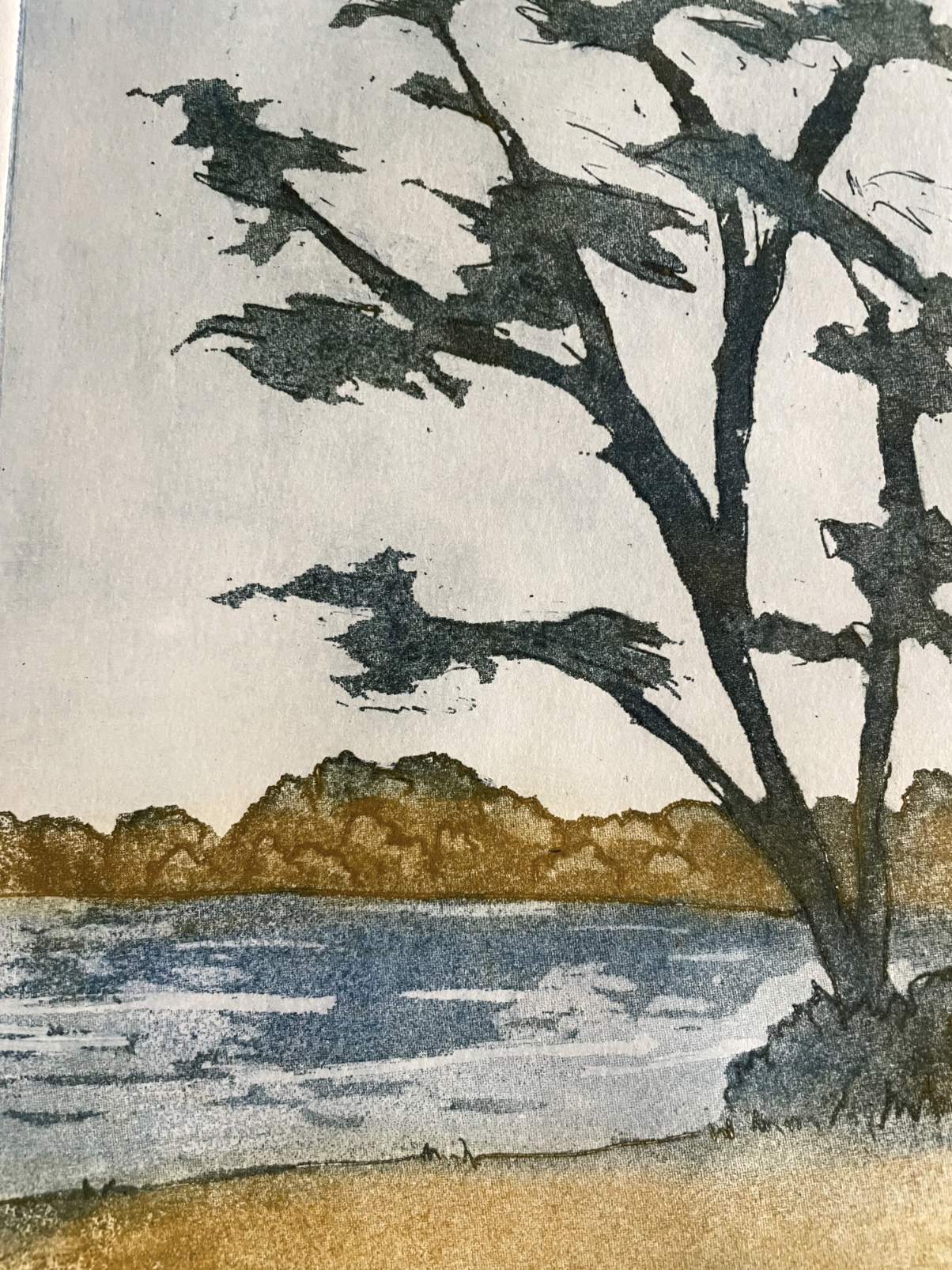 SHADY SIDE (Caleb Smith Park)