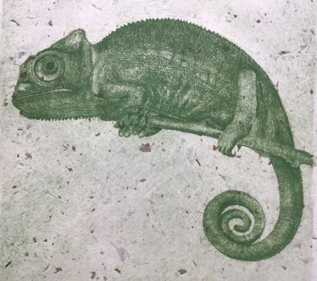 True Colors (Chameleon)