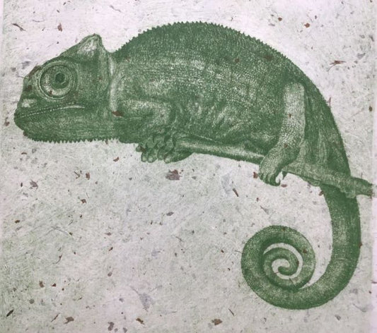 True Colors (Chameleon)