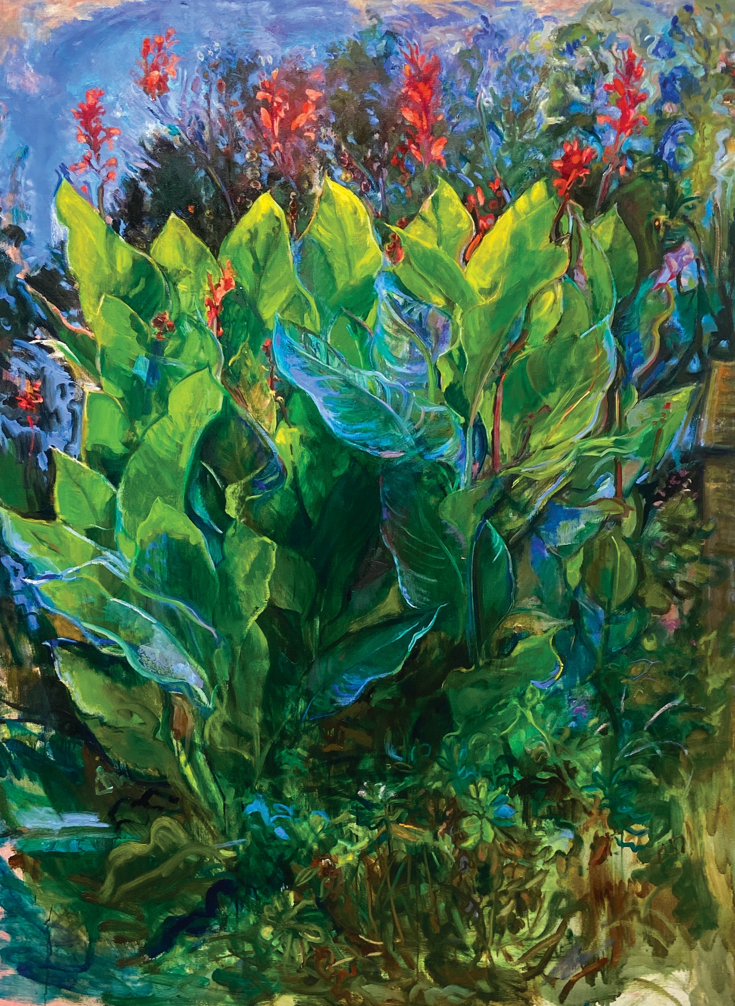 Canna Lilies