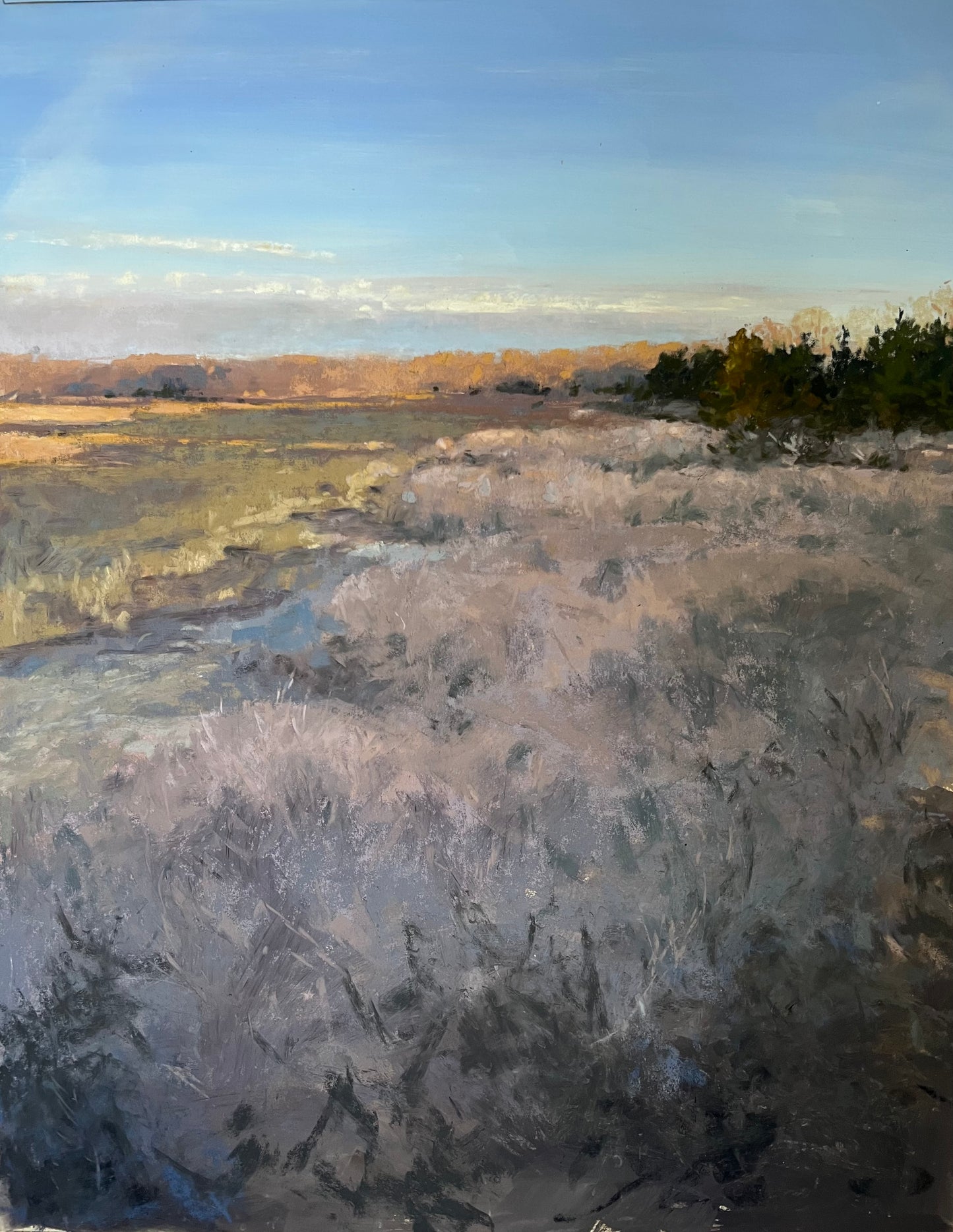 Flax Pond Evening