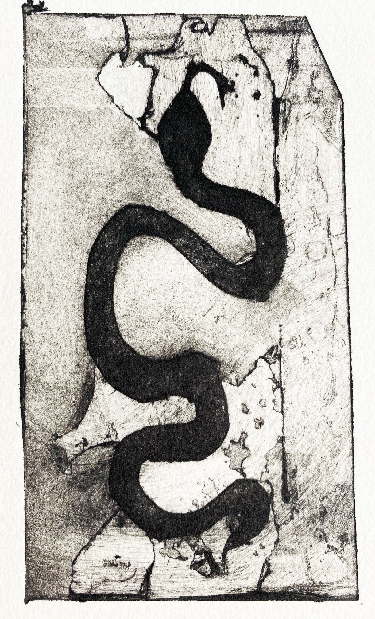 Garden Snake